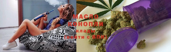сатива Горняк