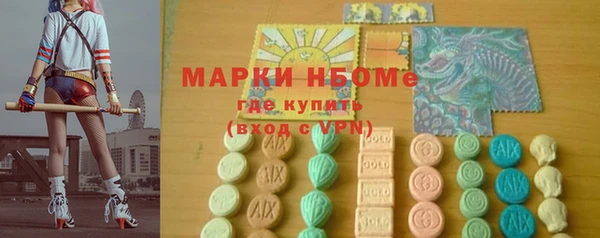 сатива Горняк