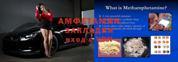 сатива Горняк