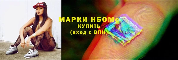 сатива Горняк