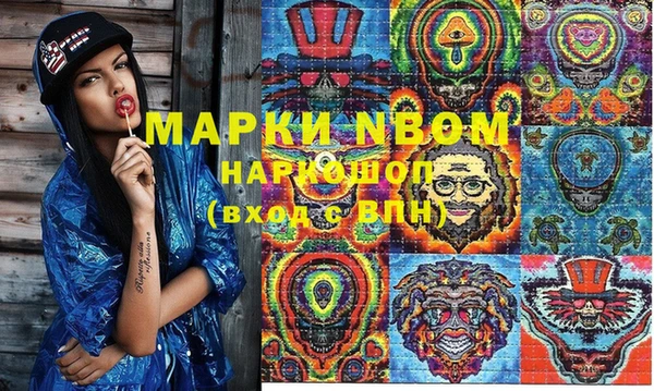 сатива Горняк