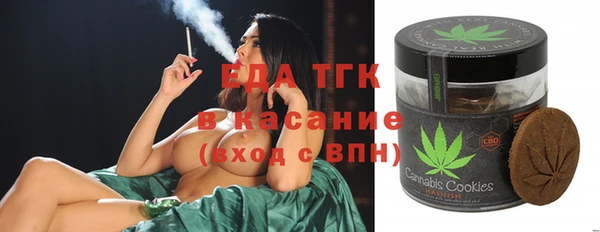 сатива Горняк