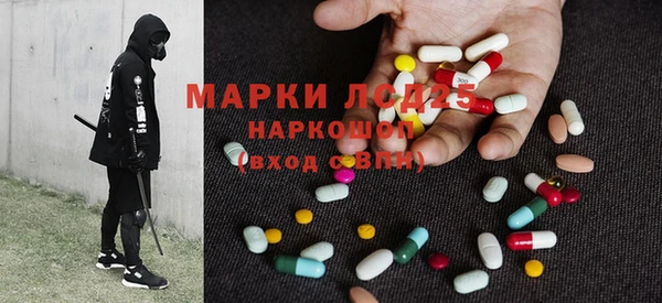сатива Горняк