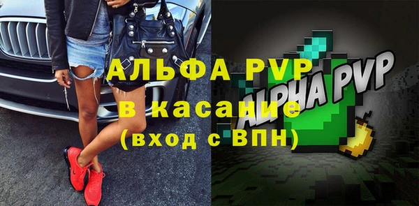 сатива Горняк