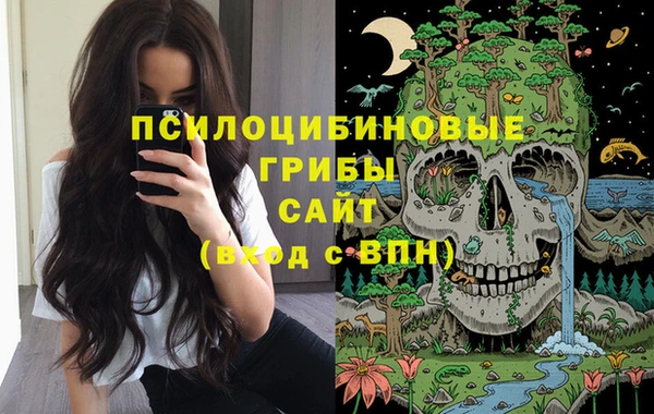 сатива Горняк