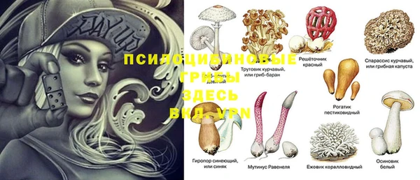гидропоника Горнозаводск