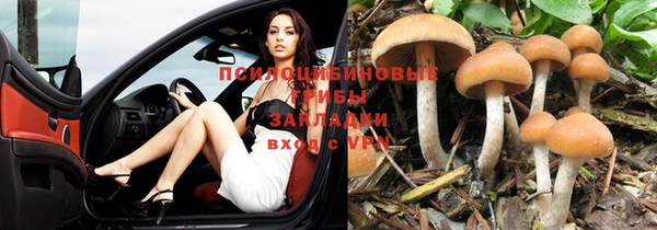 a pvp Горно-Алтайск