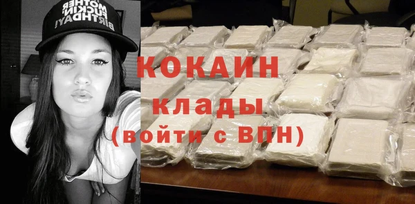 сатива Горняк