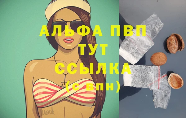 сатива Горняк