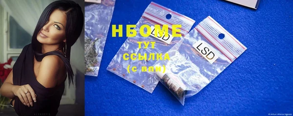 сатива Горняк
